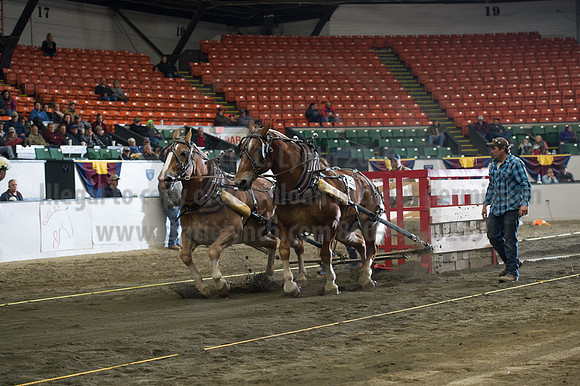 NABC8_10142016_SCL_9473