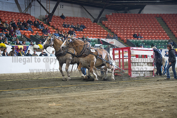 NABC8_10142016_SCL_9393