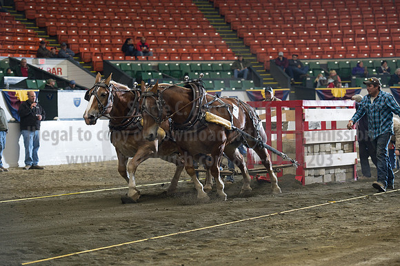 NABC8_10142016_SCL_9470