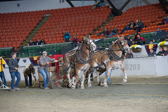 NABC8_10142016_SCL_9545