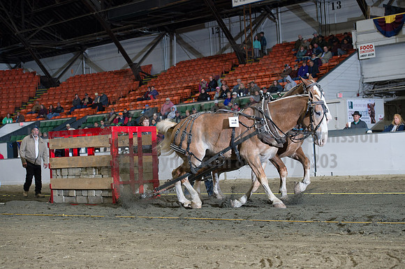 NABC8_10142016_SCL_9447