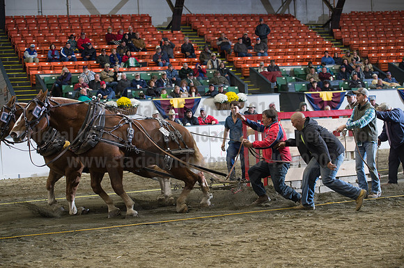 NABC8_10142016_SCL_9880