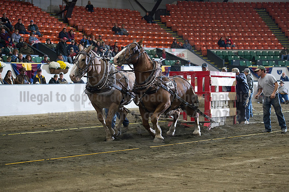 NABC8_10142016_SCL_9483