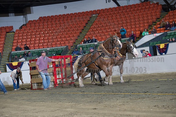 NABC8_10142016_SCL_9421