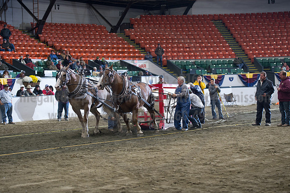 NABC8_10142016_SCL_9903