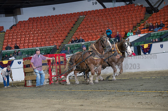 NABC8_10142016_SCL_9422