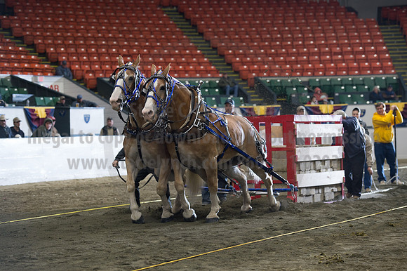 NABC8_10142016_SCL_9703