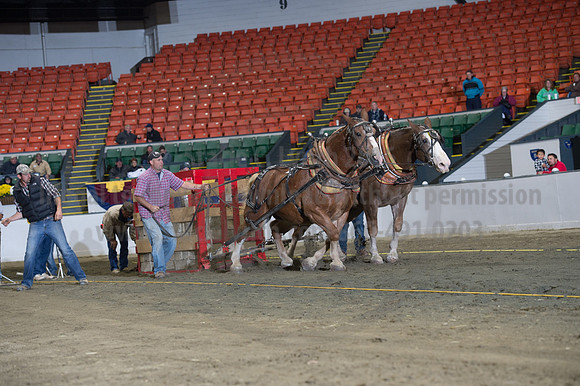 NABC8_10142016_SCL_9419