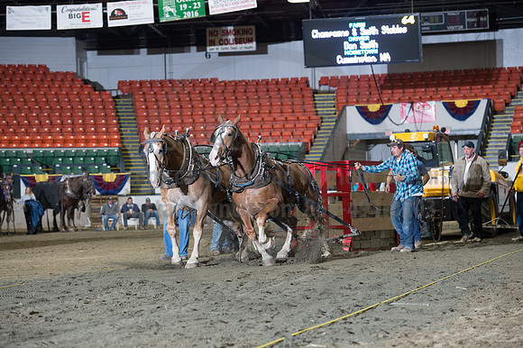 NABC8_10142016_SCL_9788