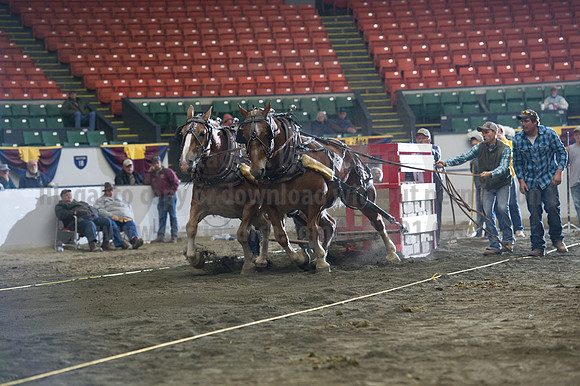 NABC8_10142016_SCL_9661