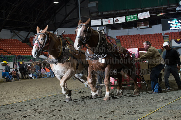 NABC8_10142016_SCL_9651