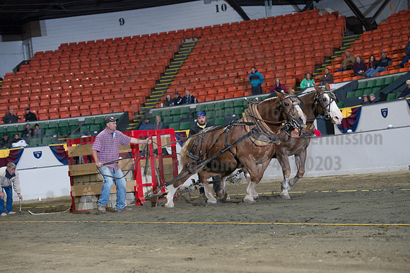 NABC8_10142016_SCL_9424