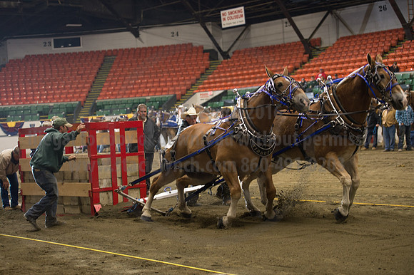 NABC8_10142016_SCL_9574