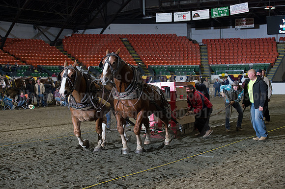 NABC8_10142016_SCL_9865
