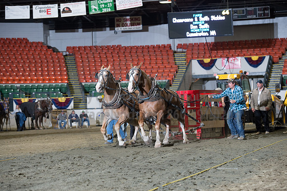 NABC8_10142016_SCL_9787