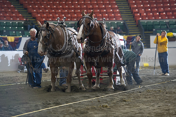 NABC8_10142016_SCL_9685