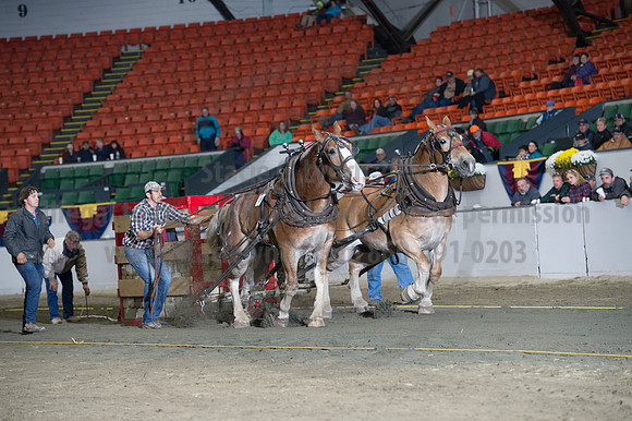 NABC8_10142016_SCL_9546