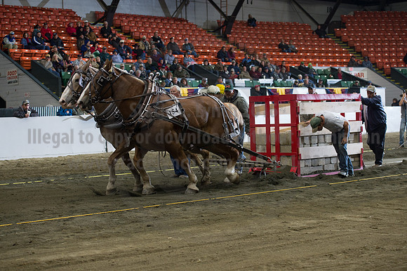 NABC8_10142016_SCL_9490