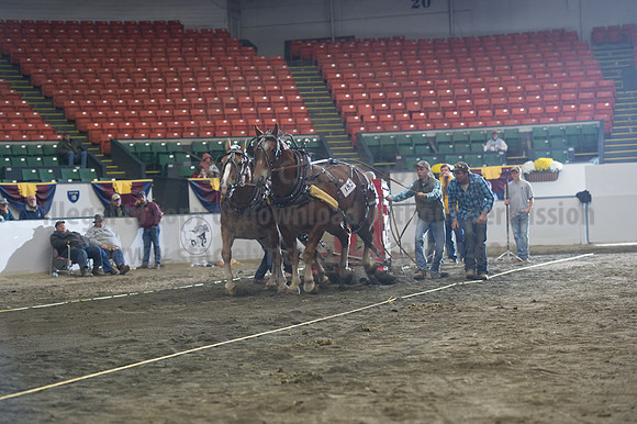 NABC8_10142016_SCL_9660