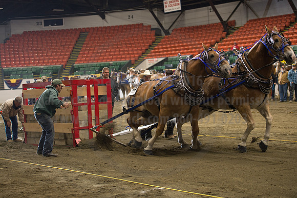 NABC8_10142016_SCL_9575