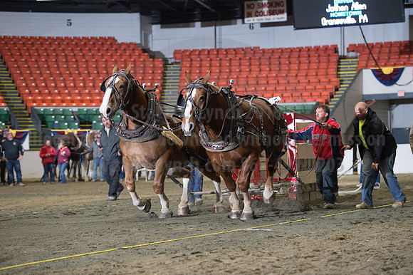 NABC8_10142016_SCL_9597