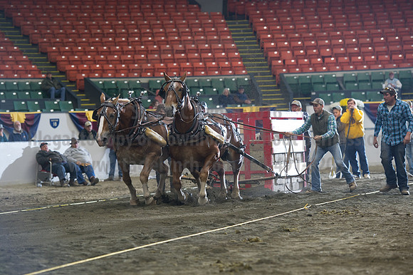 NABC8_10142016_SCL_9662