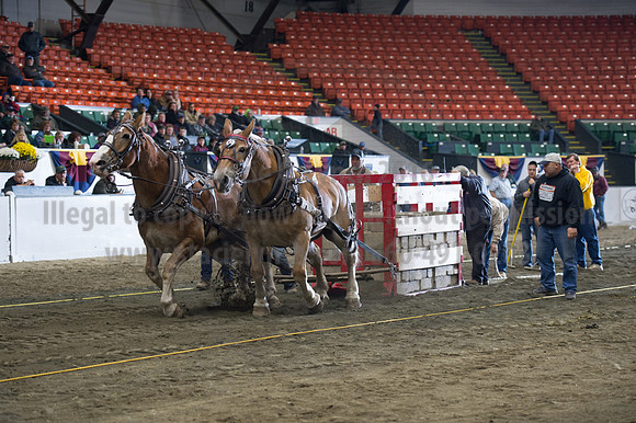 NABC8_10142016_SCL_9743