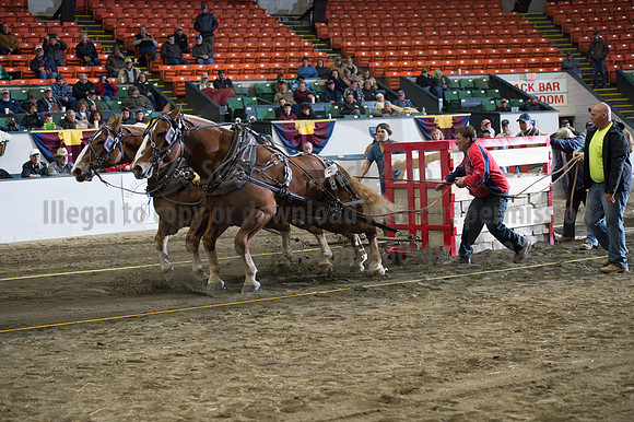 NABC8_10142016_SCL_9876