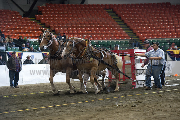 NABC8_10142016_SCL_9712