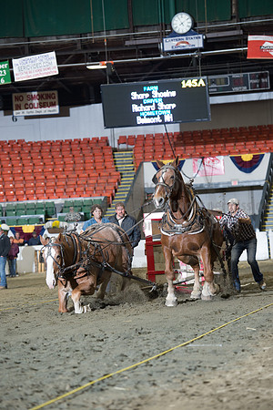NABC8_10142016_SCL_9828