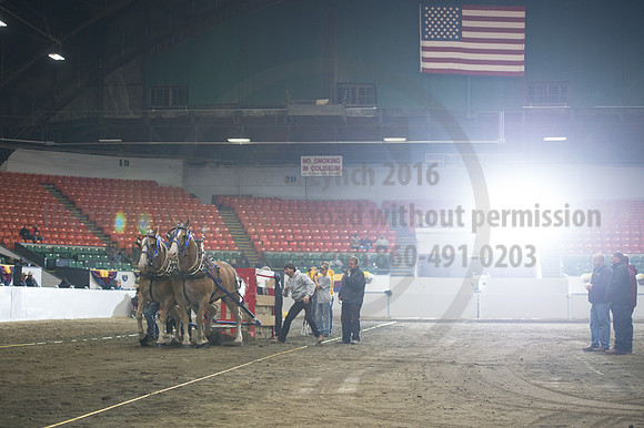NABC8_10142016_SCL_9500