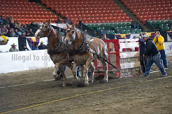 NABC8_10142016_SCL_9739