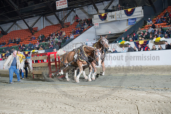 NABC8_10142016_SCL_9366