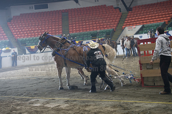 NABC8_10142016_SCL_9362
