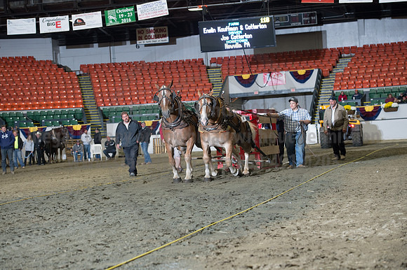 NABC8_10142016_SCL_9836