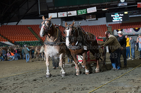 NABC8_10142016_SCL_9649