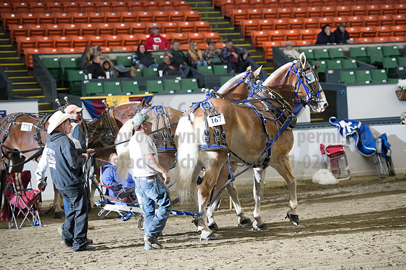 NABC8_10142016_SCL_9815