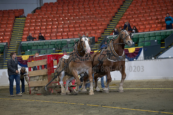 NABC8_10142016_SCL_9508