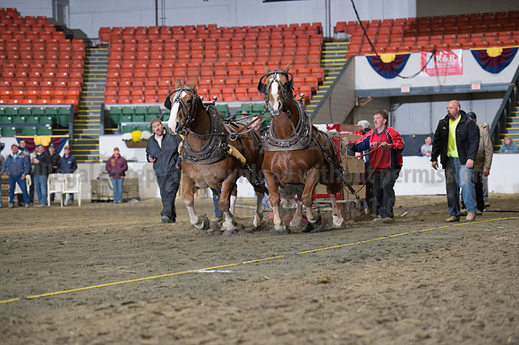 NABC8_10142016_SCL_9590