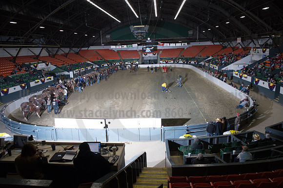 NABC8_10142016_SCL_9341