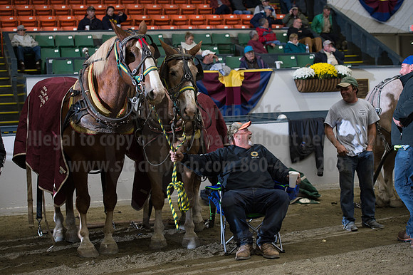 NABC8_10142016_SCL_9428