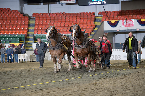 NABC8_10142016_SCL_9593