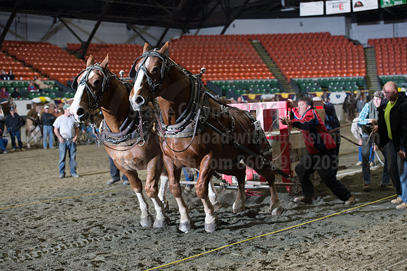 NABC8_10142016_SCL_9870