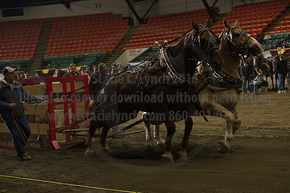NABC8_10142016_SCL_9571