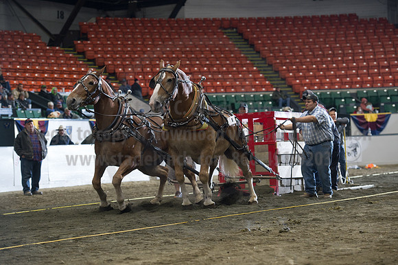 NABC8_10142016_SCL_9715