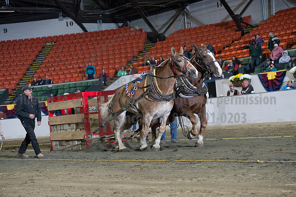 NABC8_10142016_SCL_9436