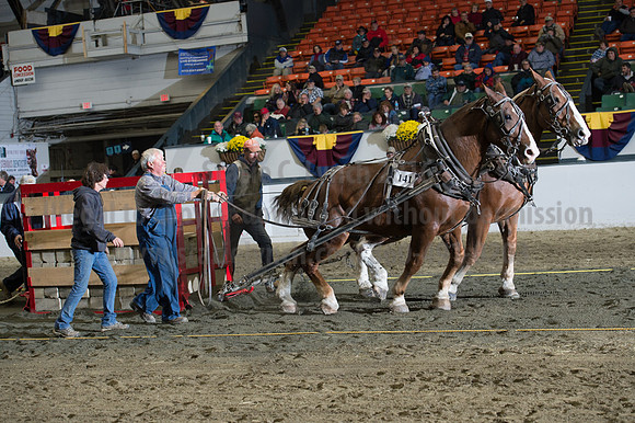 NABC8_10142016_SCL_9533