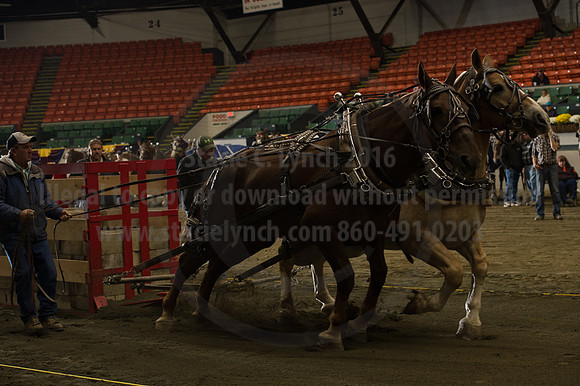 NABC8_10142016_SCL_9572