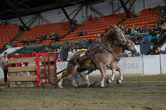 NABC8_10142016_SCL_9522