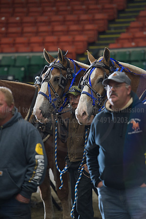 NABC8_10142016_SCL_9726